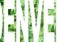 denver_marijuana_public_use