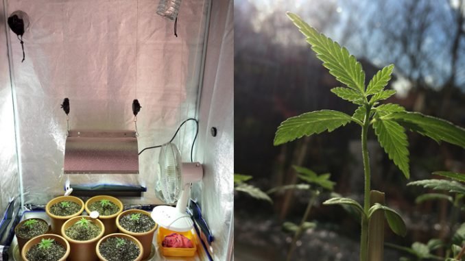 indoor_outdoor