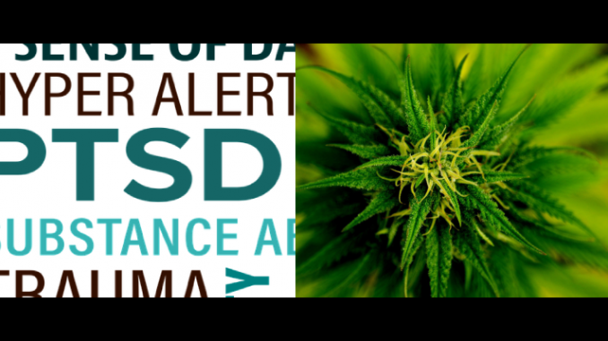 ptsd and cannabis