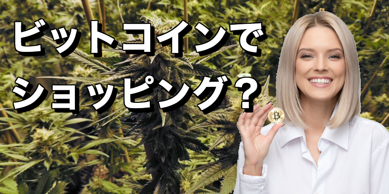 保護中: シードシティで大麻の種を買うならビットコイン決済が今はおすすめ