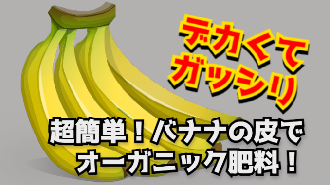 banana_peal