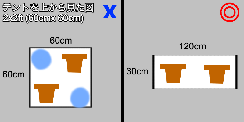 2plants_in_2x2