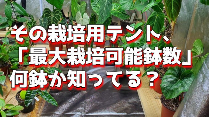 tent_number_of_pot hachisuu tento
