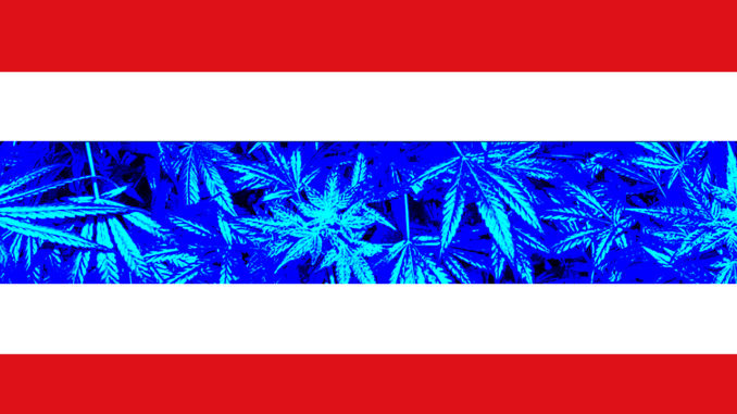 thai_limitless_cultivation